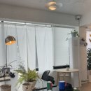 베이비 피그 Baby Pig 이미지