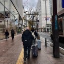 패스짐 | 후쿠오카 여행 카고패스 텐진 다이마루 캐리어 짐 보관 후기