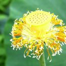 (주)연지 이미지