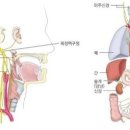 미주환경 이미지