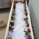 강남센트럴요양병원 이미지