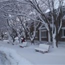 백화여자고등학교 이미지