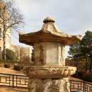 경북대학교 박물관 이미지