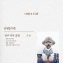 필마이무드스튜디오
