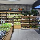 빈이푸드 이미지