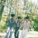 오디너리 컨셉트