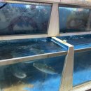 황금어장막썰이횟집 이미지