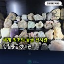 영월동굴생태관 | 세계 최초의 동굴 전문 전시관, 영월동굴생태관