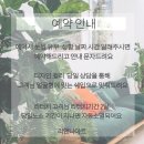 리앤나뷰티 이미지