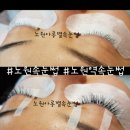 아롱별속눈썹