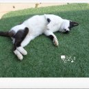 아루농장 이미지