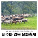 문화축산 | 4월 제주도 축제 제주마 입목 문화축제 제주 마방목지 히잉페스티벌 후기