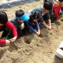 대장나무숲놀이터 이미지