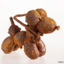 CICA미술관 이미지