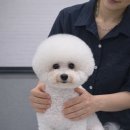 올리스(위례) 이미지