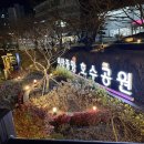 정자나무공원 | 서산 가볼만한곳: 화려한 조명과 야경이 아름다운 '서산 중앙호수공원' 야간 산책 후기