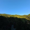 향로산자연휴양림 이미지