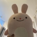 김미선에스테틱 - 논산시 | 춘천 브라질리언 왁싱 잘하는 에스테틱 추천! 뷰티오로라엘/신부관리 웨딩관리 산전관리 피부관리...