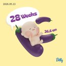 [임신 중기 | ~28주] 임산부 일상: 28주 검진, 틈새장으로 맘마존 준비, 애기봉 스타벅스 방문기