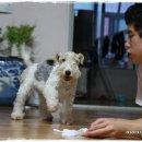 둥이 이미지