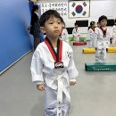 태권도 승급심사🥋 이미지