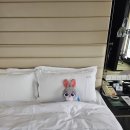 워시포커스 | 베이징 CBD 홀리데이인 포커스스퀘어 진짜 찐 후기! 수영장 완전 전세였어요🏊‍♂♂️