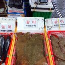 광일축산 | [가락시장 완전정복] 가락시장에서 도매회사고 과일사고 고기사고 맛집 대방출 !
