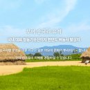 부여토종씨앗도서관협동조합 이미지