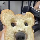 시르네