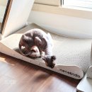 11260-3-70-44 | 고양이스크래쳐 리필 70X44 초대형 고양이 소파 고르는 법