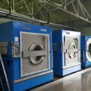 레몬세탁 이미지