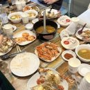 헬로우댕댕 이미지