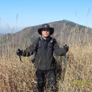 고헌농장 이미지