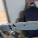 사대안길 네이버블로그