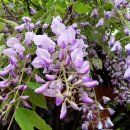 덕유산(상)휴게소 이미지