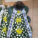 꽃꽂는 남자 네이버블로그