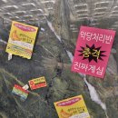토이존문구