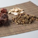 한마음정안한의원 | 죽전동허리통증 본리동한의원 척추강화가 핵심