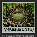 우분트'(UBUNTU)란? "우리가 함께 있기에 내가 있다." 이미지