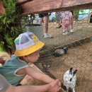 주호농장 이미지