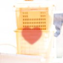 강서구-85 | 강서구이사 돼지익스프레스 후기 – 혼자 이사도 문제없던 이유