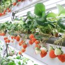 이원영농장 이미지