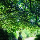 엠알렌트카 이미지