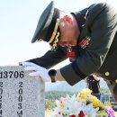 도도독B 이미지