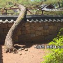 발라드 현대시선 7월의 밴드 선정시_서강은 흐른다_작사 이명순_작 편곡 수노_기획 편집 윤기영 이미지