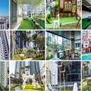 성애경로당 이미지