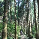 물영아리오름 이미지