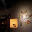 이자카야토라대전대흥점 이미지