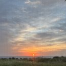 우도피아 이미지