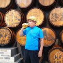 롯데주류 충주 크라우드 공장에서의 &#39;생맥주 시음&#39; 이미지